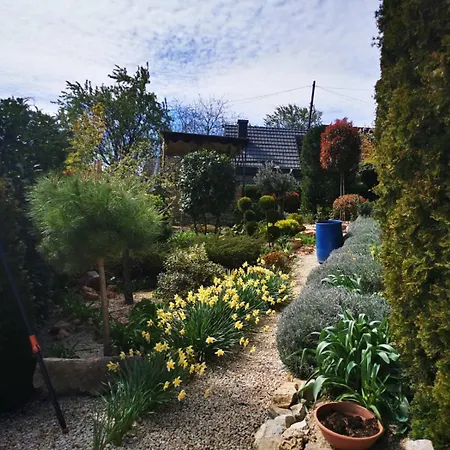 Balaton House - Panoramic Lux Βίλα